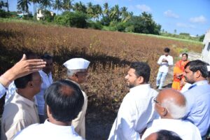 Sujay Vikhe Patil News : जिल्ह्यात झालेल्या अतिवृष्टीमुळे लोणी बुद्रुक, हणमंतगाव व पाथरे या भागातील खरीप पिकांना मोठ्या प्रमाणावर फटका बसला आहे. या परिस्थितीची प्रत्यक्ष पाहणी माजी खासदार डॉ. सुजय विखे पाटील यांनी केली. यावेळी संबंधित प्रशासकीय अधिकारीही उपस्थित होते.