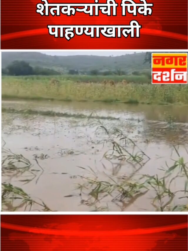 पाथर्डी तालुक्यात मुसळधार पावसामुळे शेतीचे पिके पाण्याखाली