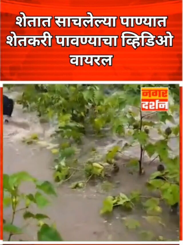 शेतात साचलेल्या पाण्यात शेतकरी पोहताना व्हिडिओ